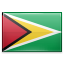 Guyana Flag | 4C Offshore
