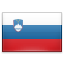 Slovenia Flag | 4C Offshore