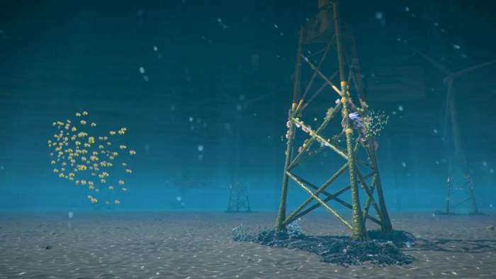 Ørsted trials coral growing at offshore wind farm