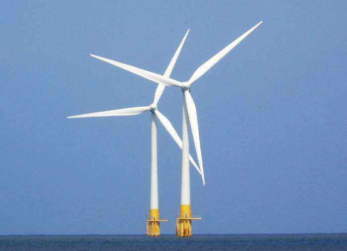 4C Offshore | Crown Estate funding to support coexistence between offshore wind and marine environment