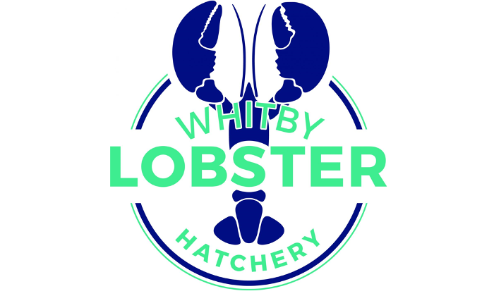 4C Offshore | Dogger Bank extends its support for Whitby Lobster Hatchery