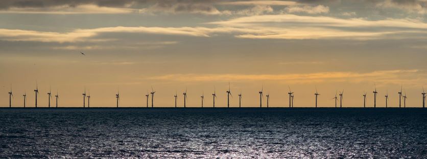 West of Orkney wind farm successfully completes survey campaigns
