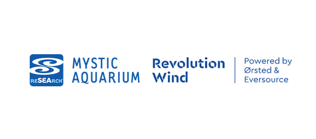 East coast offshore developers partner with Mystic Aquarium