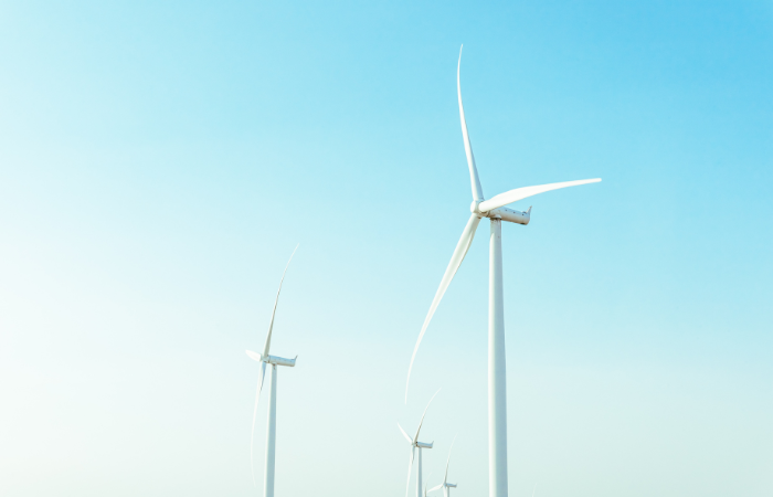 Survey secured for German offshore wind farm sites