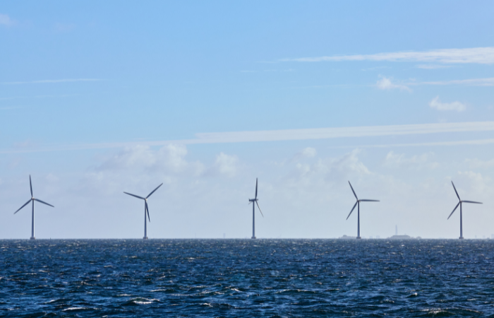 4C Offshore | Copenhagen Energy welcomes WA offshore wind timeline