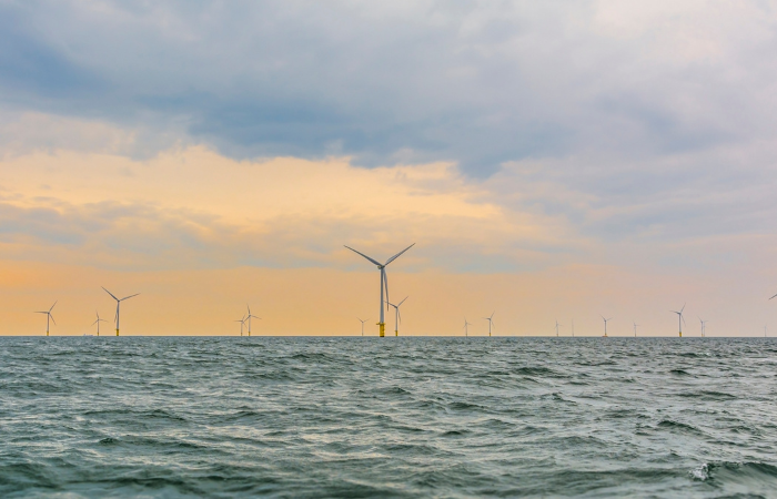 4C Offshore | ACP Statement on Monmouth Offshore Wind Opinion Poll