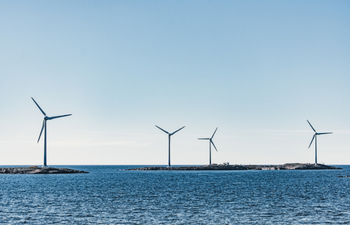 Dutch King inaugurates largest offshore wind farm
