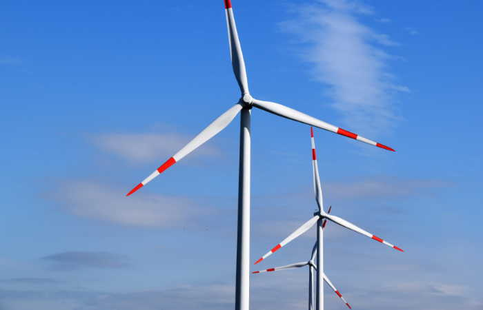 BOEM designates four new offshore wind areas
