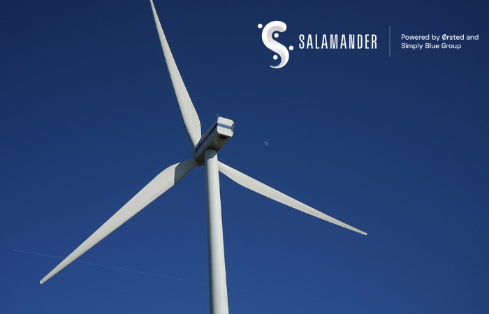 Salamander Offshore Wind Farm submits offshore consent application | 4C Offshore