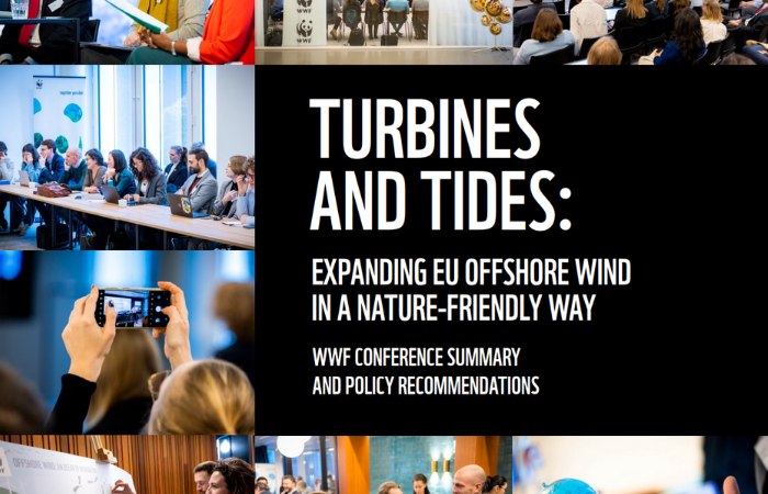 Turbines and tides, WWF explore nature-friendly offshore wind future | 4C Offshore
